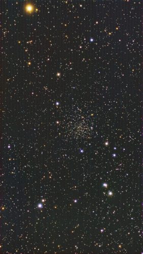 Caldwell_1-260424_41X60